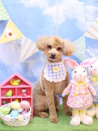 20240327おでんくん